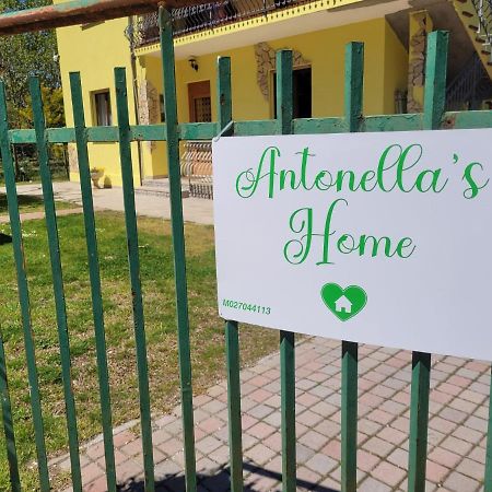 Antonella'S Home Cavallino-Treporti Exteriér fotografie