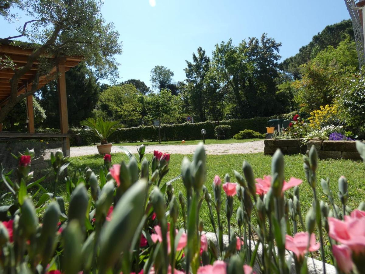 Antonella'S Home Cavallino-Treporti Exteriér fotografie